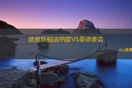 德累斯顿迪纳摩VS桑德豪森