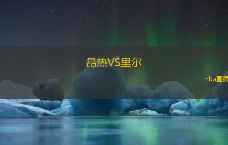 昂热VS里尔