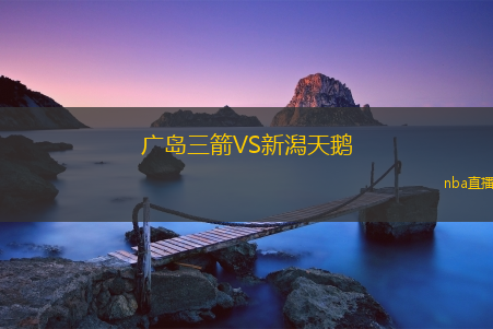 广岛三箭VS新潟天鹅