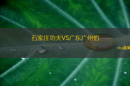 石家庄功夫VS广东广州豹