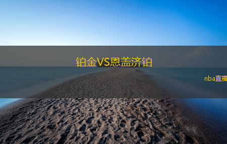 铂金VS恩盖济铂